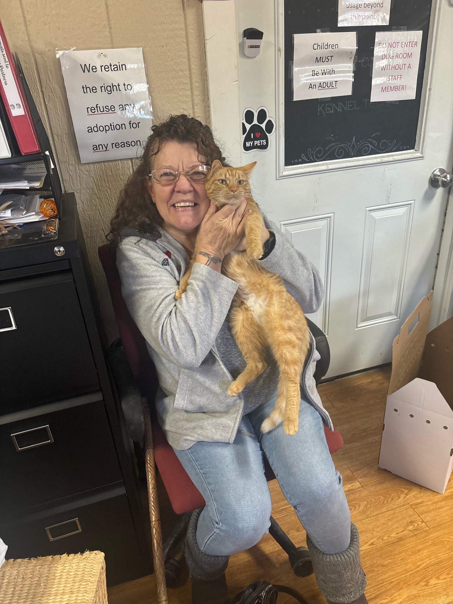 Greensburg & Decatur County Animal Shelter: Cat Enrichment Grant Report 